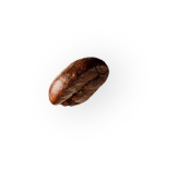 coffee-beans-alt-sol-3