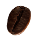 coffee-beans-sag-ust-1