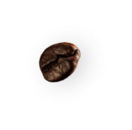 coffee-beans-sag-ust-3