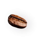 coffee-beans-sag-ust-4@2x-170x180