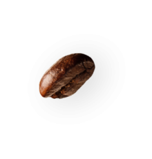 coffee-beans-sag-ust-5@2x-220x230