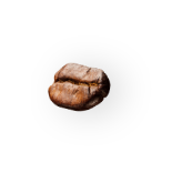 coffee-beans-sol-alt-2